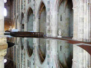 Palmier des Jacobins in Toulouse