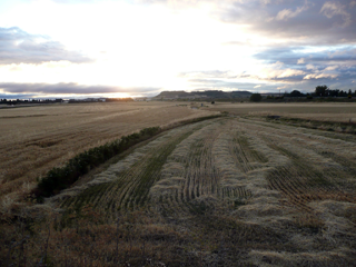Unterwegs nach Tardajos